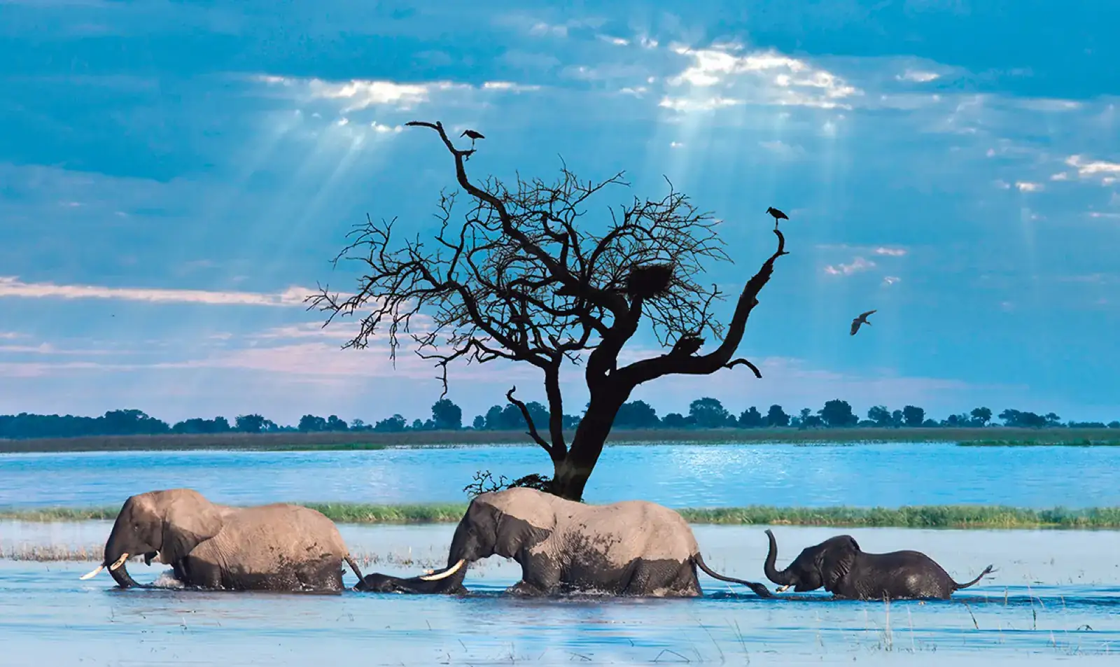 Botswana's eSIM