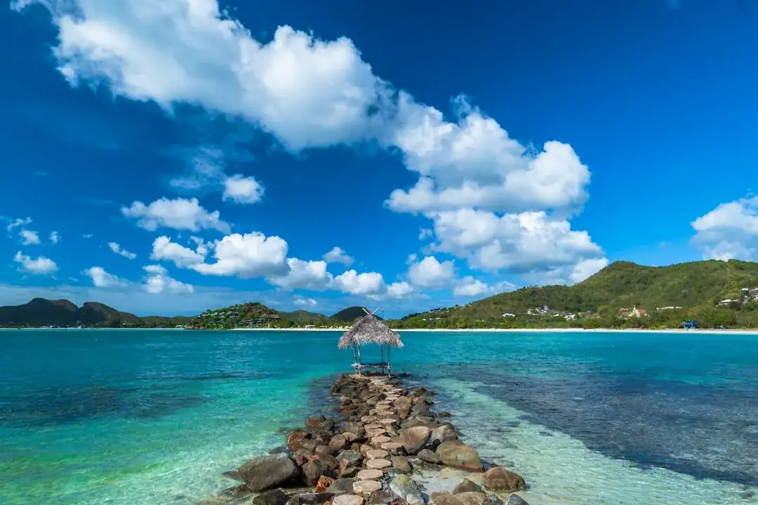 Grenada's eSIM