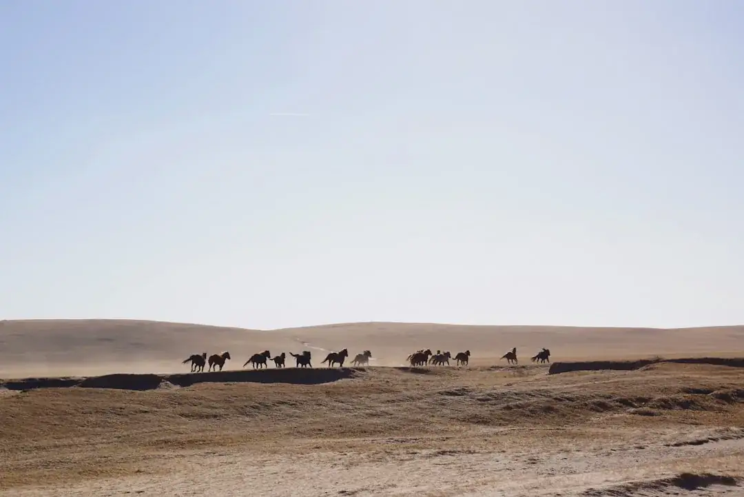 Mongolia's eSIM