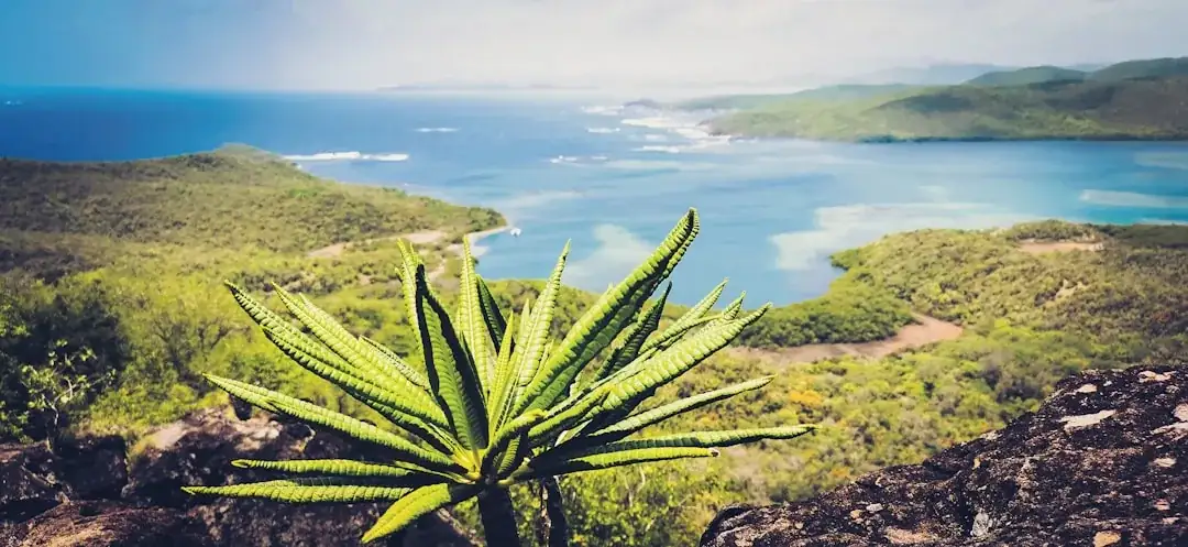 French West Indies's eSIM