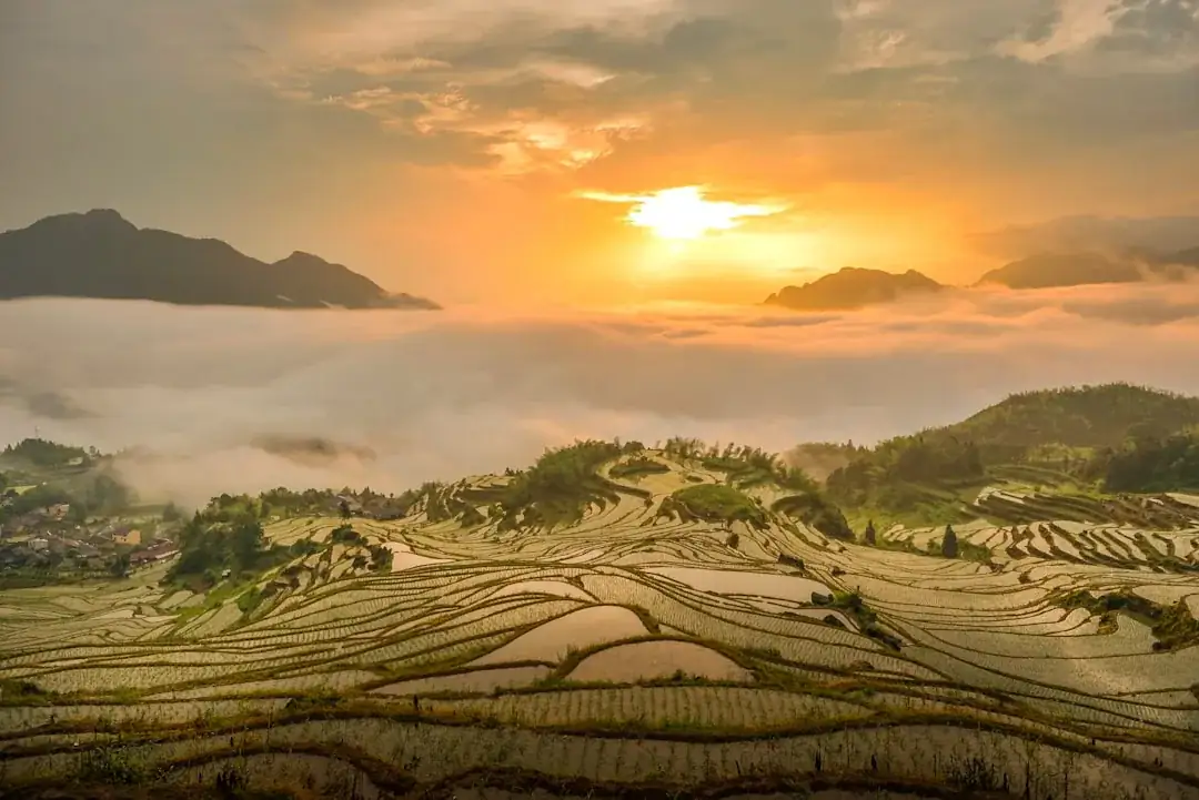 Asia